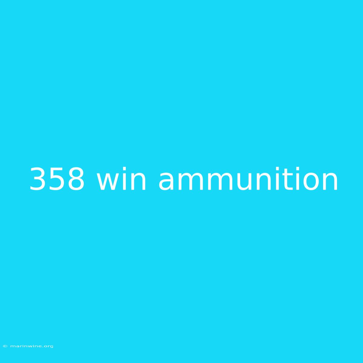 358 Win Ammunition