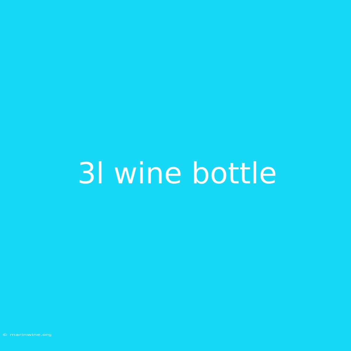 3l Wine Bottle