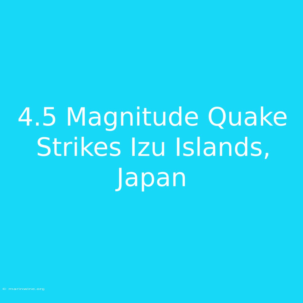 4.5 Magnitude Quake Strikes Izu Islands, Japan