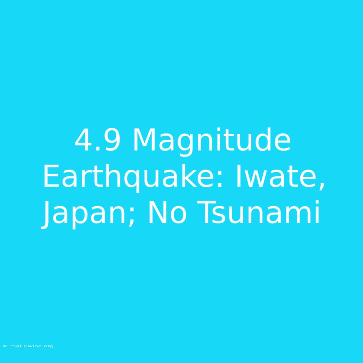 4.9 Magnitude Earthquake: Iwate, Japan; No Tsunami