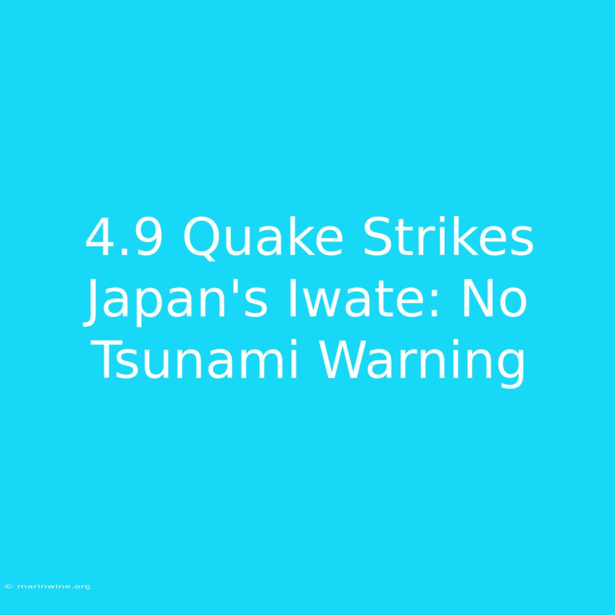 4.9 Quake Strikes Japan's Iwate: No Tsunami Warning