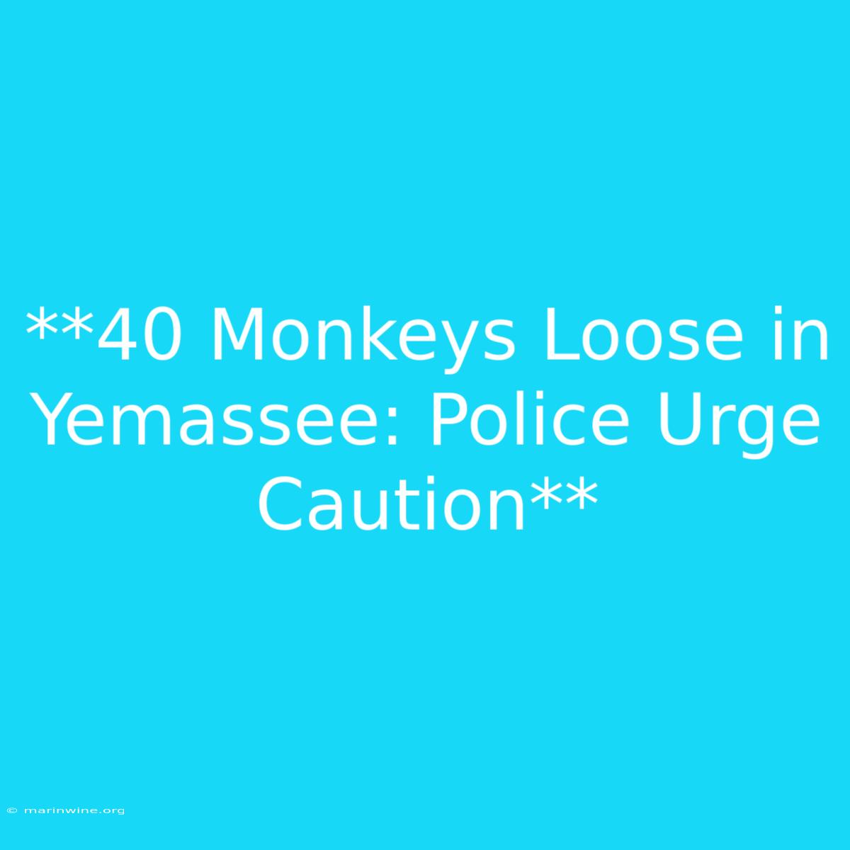 **40 Monkeys Loose In Yemassee: Police Urge Caution**