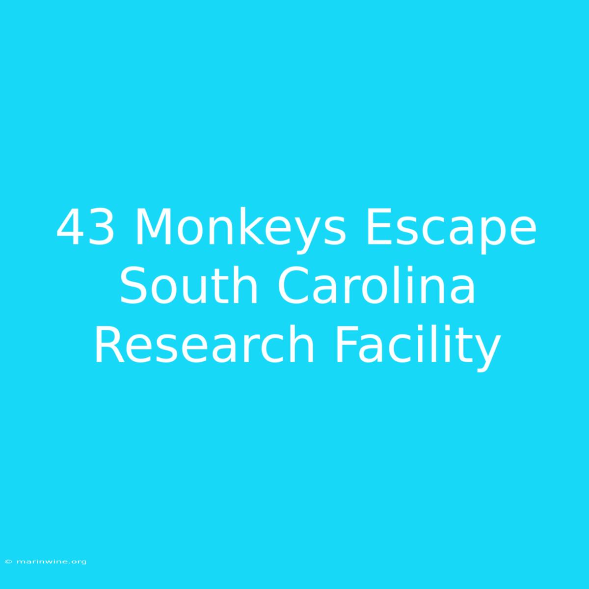 43 Monkeys Escape South Carolina Research Facility