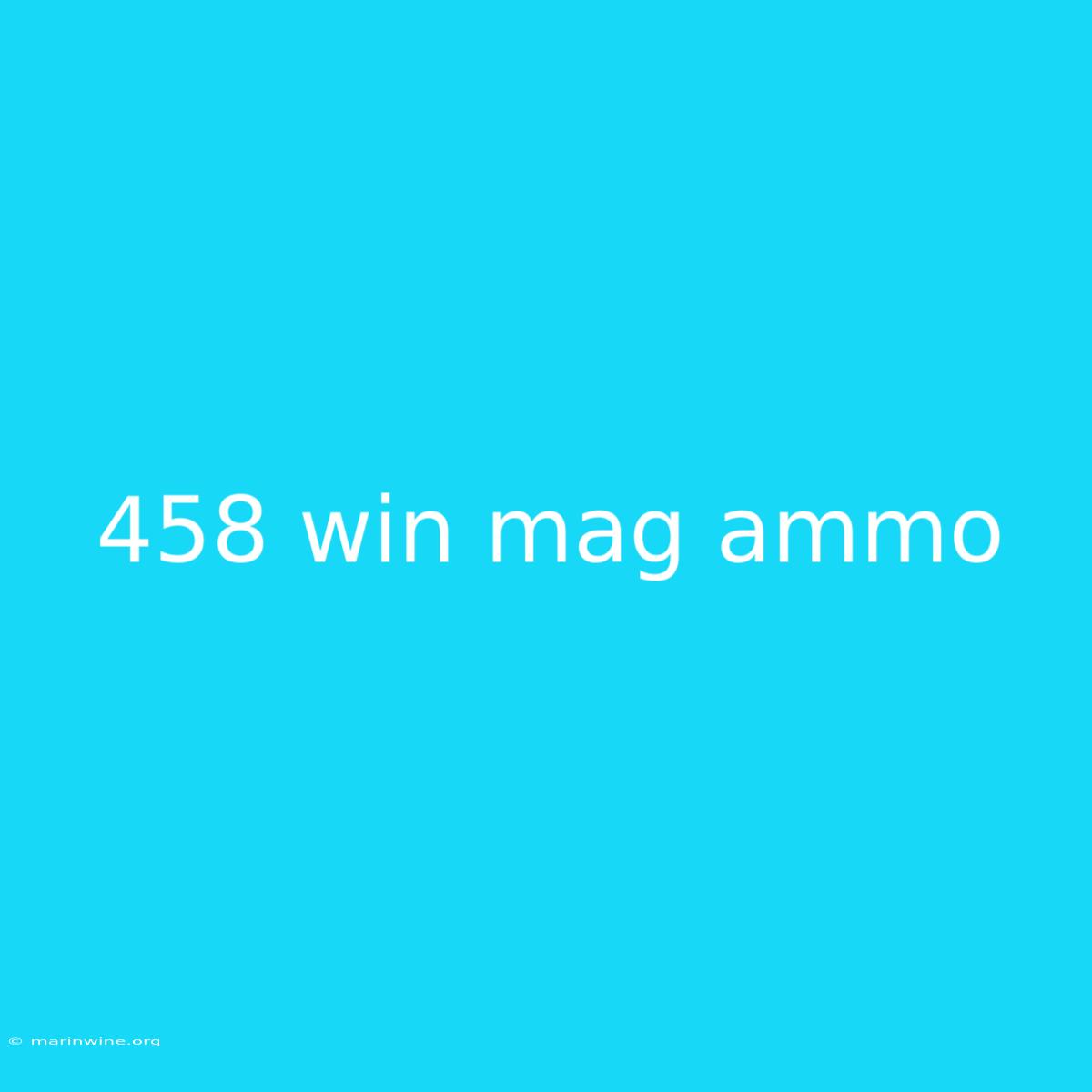 458 Win Mag Ammo