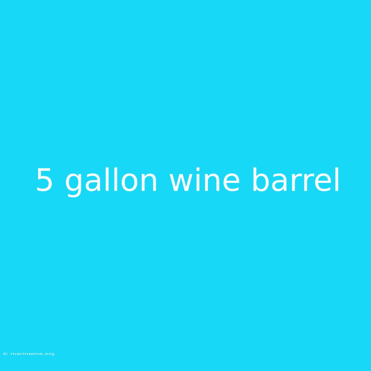 5 Gallon Wine Barrel