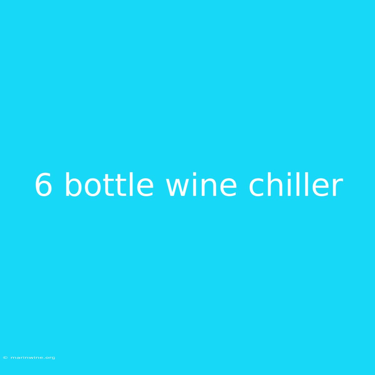 6 Bottle Wine Chiller