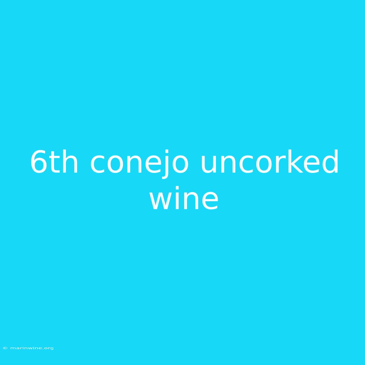 6th Conejo Uncorked Wine