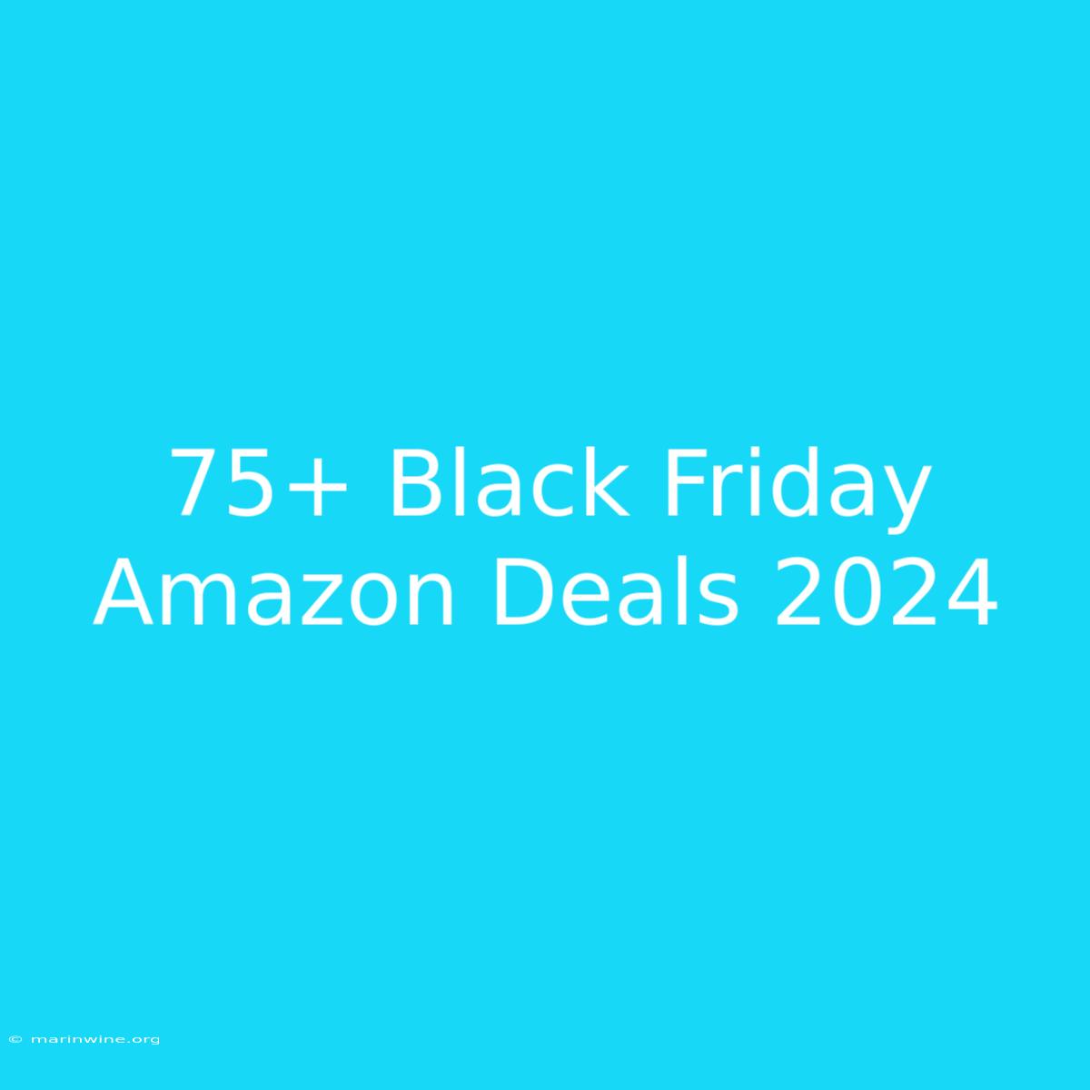 75+ Black Friday Amazon Deals 2024