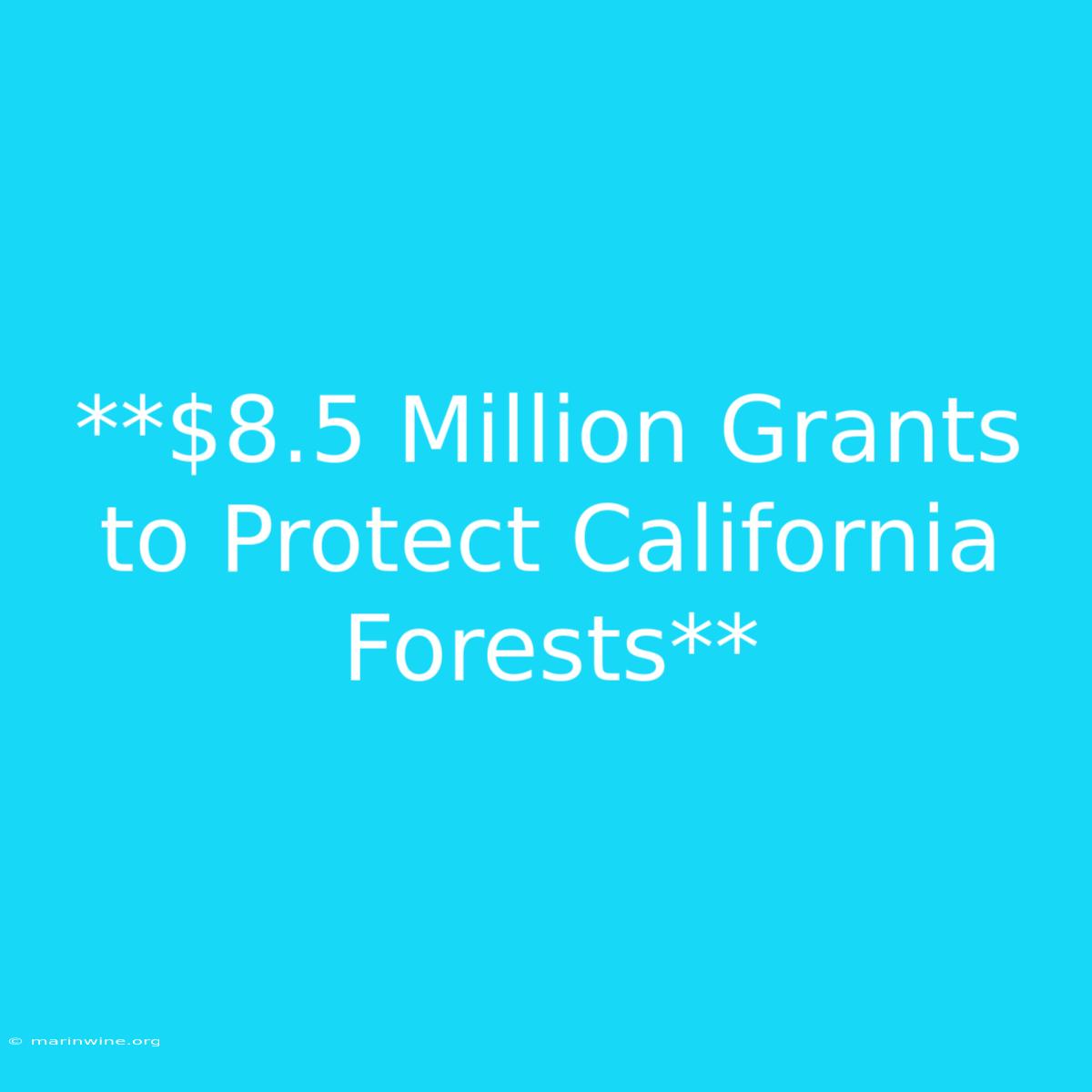 **$8.5 Million Grants To Protect California Forests**