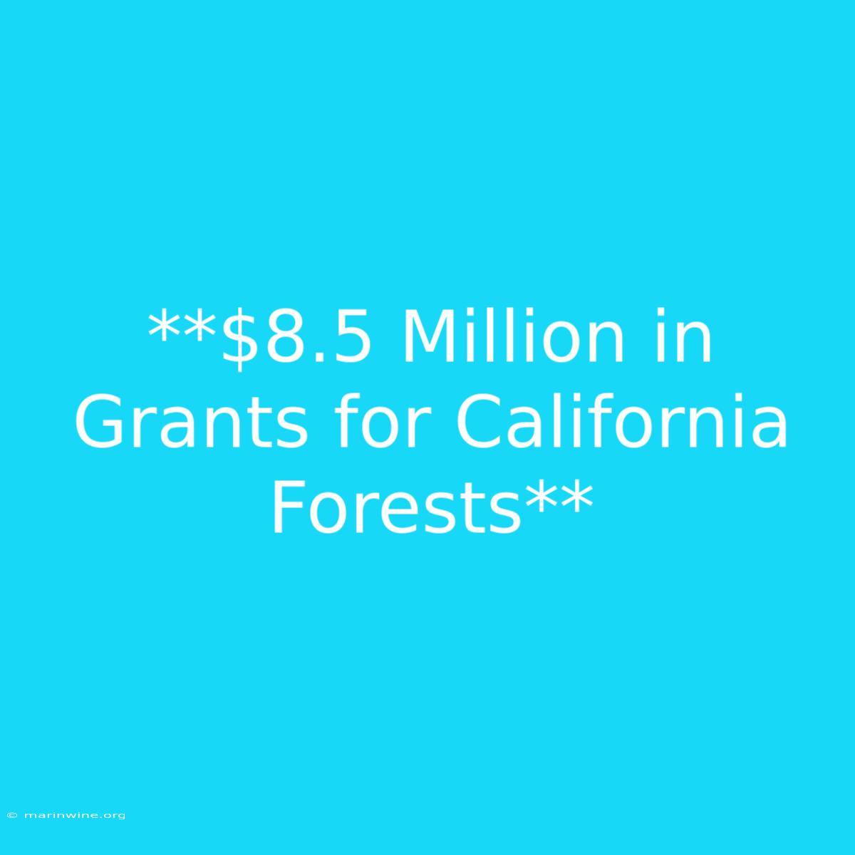 **$8.5 Million In Grants For California Forests** 