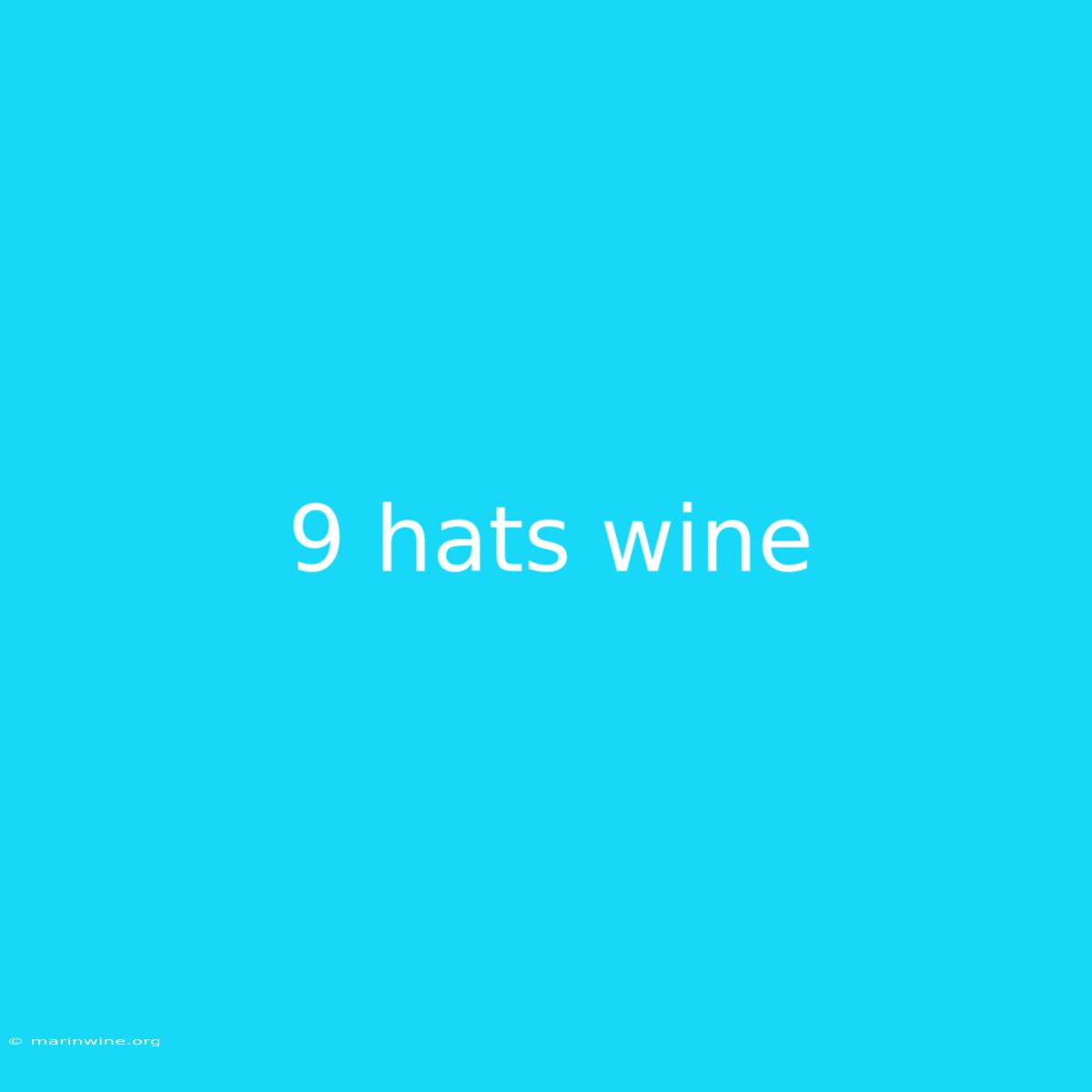 9 Hats Wine