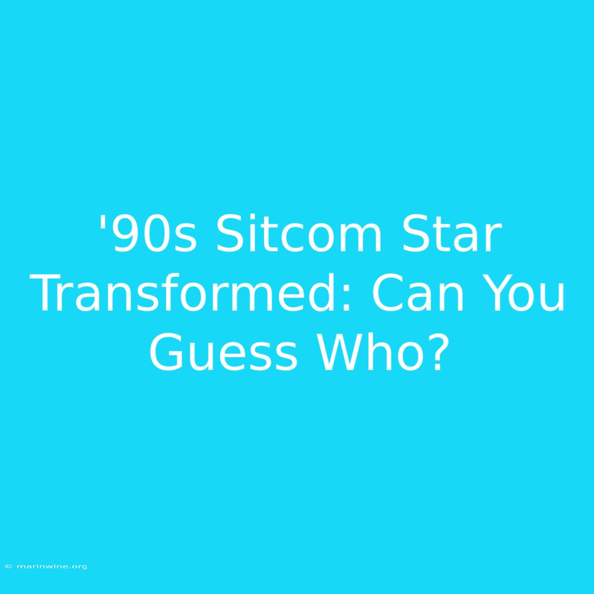 '90s Sitcom Star Transformed: Can You Guess Who?