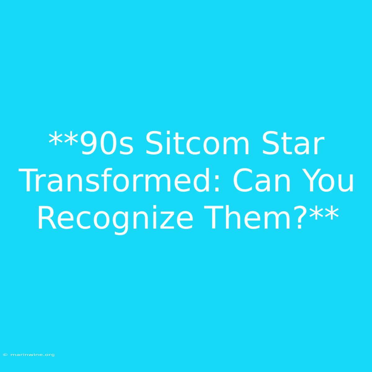 **90s Sitcom Star Transformed: Can You Recognize Them?** 