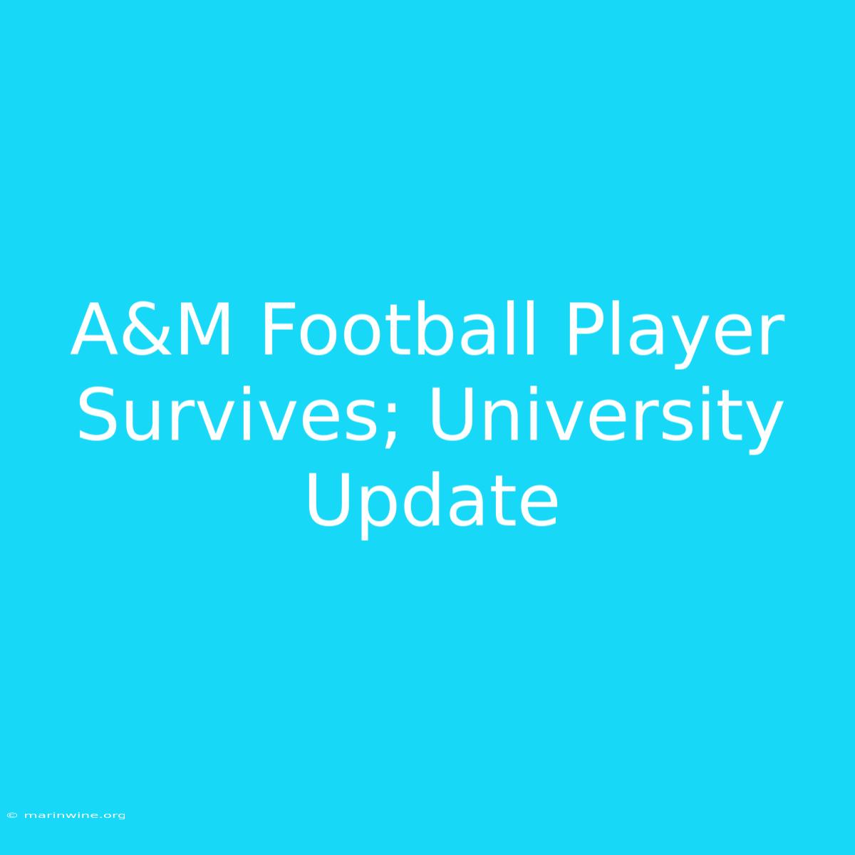 A&M Football Player Survives; University Update