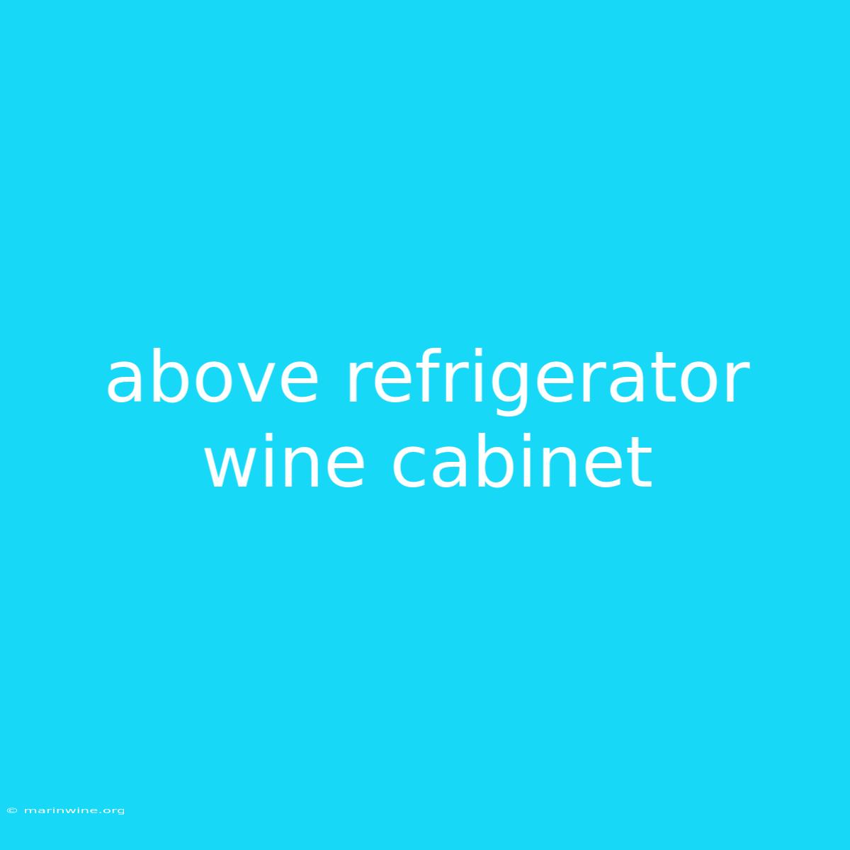 Above Refrigerator Wine Cabinet