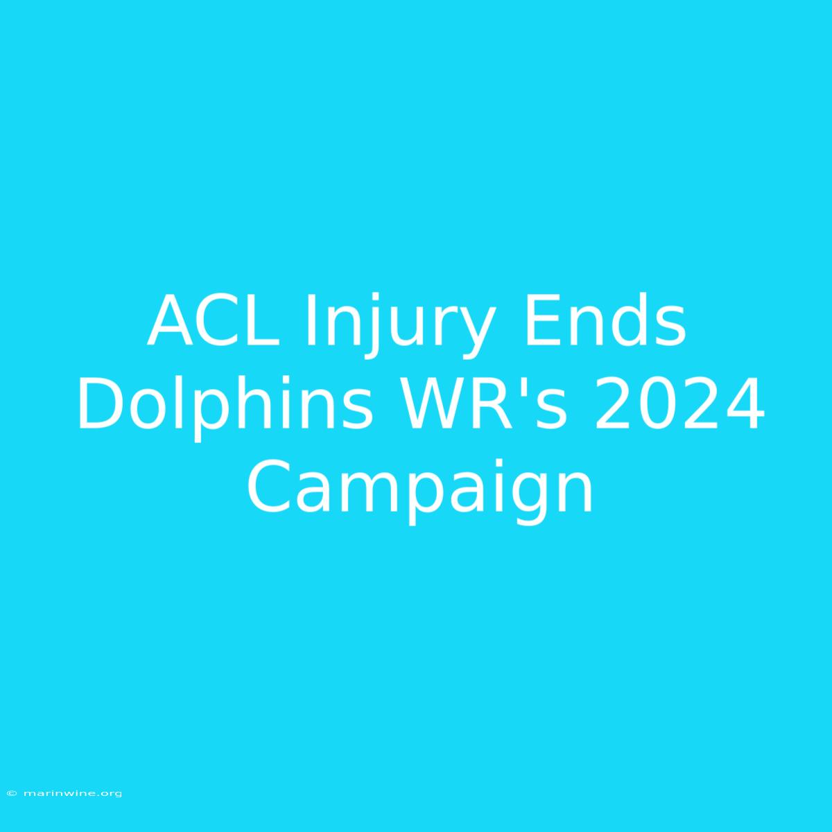 ACL Injury Ends Dolphins WR's 2024 Campaign 