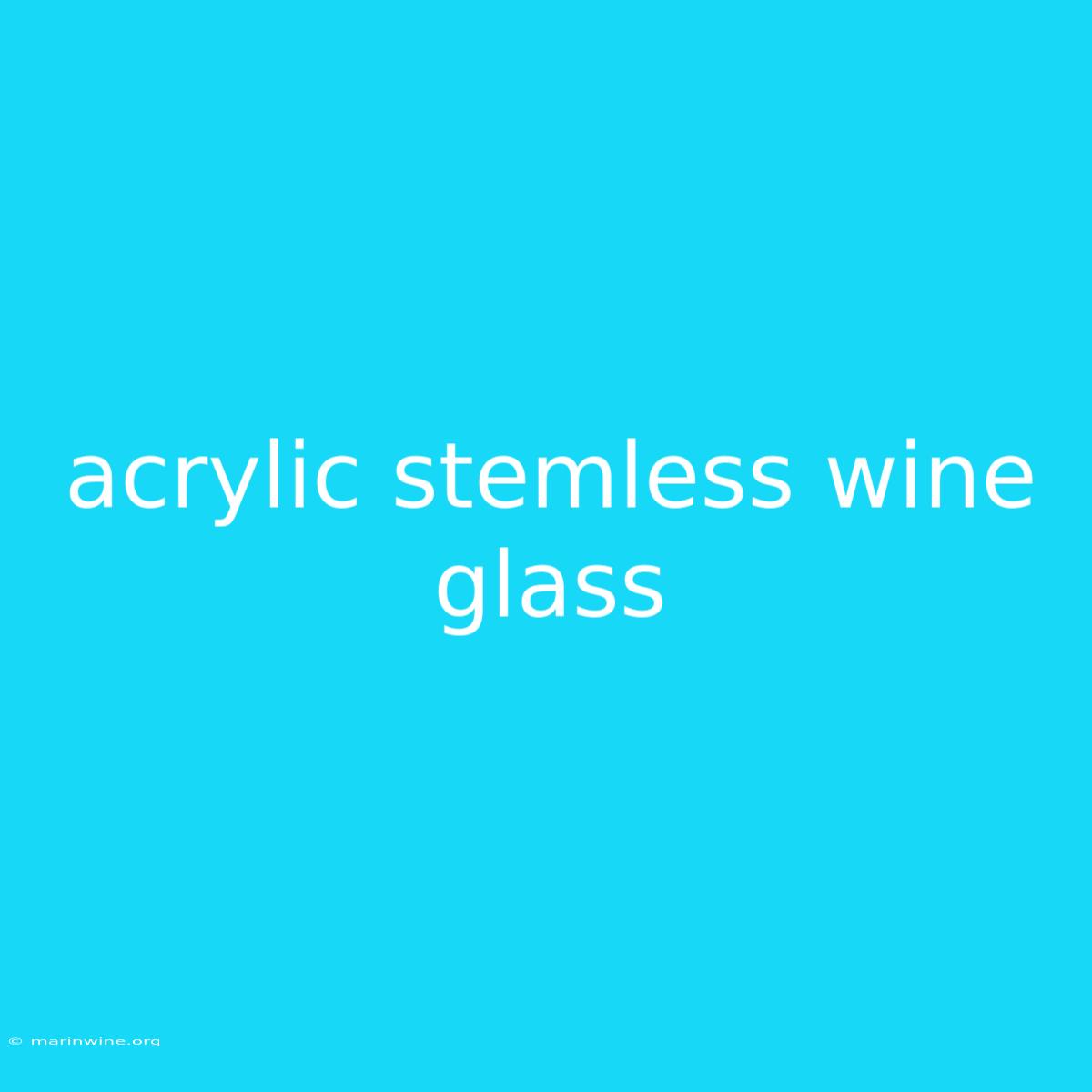 Acrylic Stemless Wine Glass