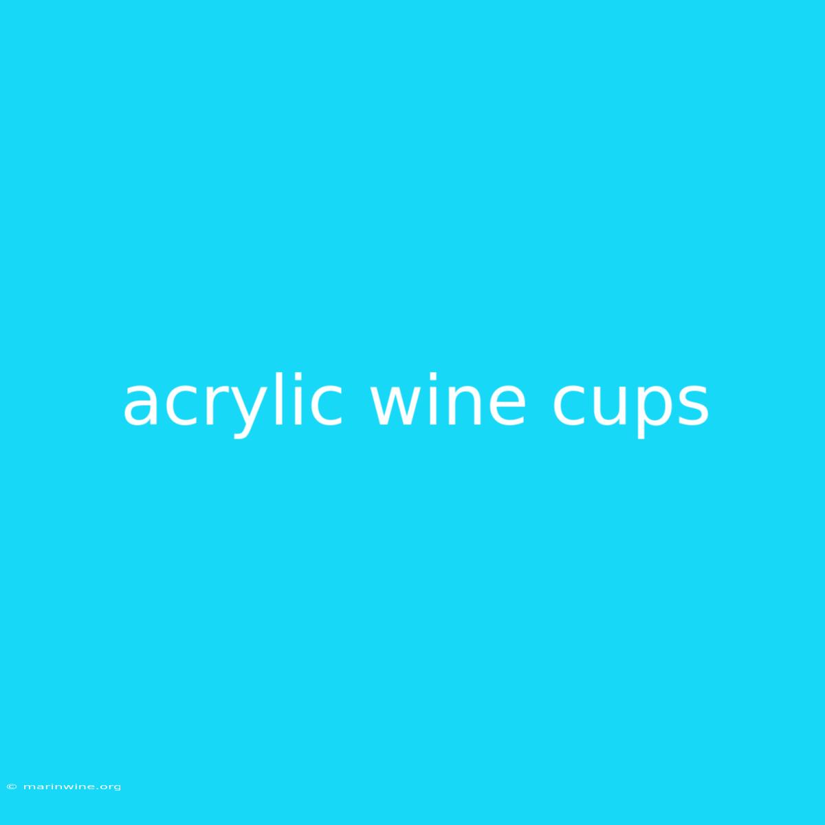 Acrylic Wine Cups