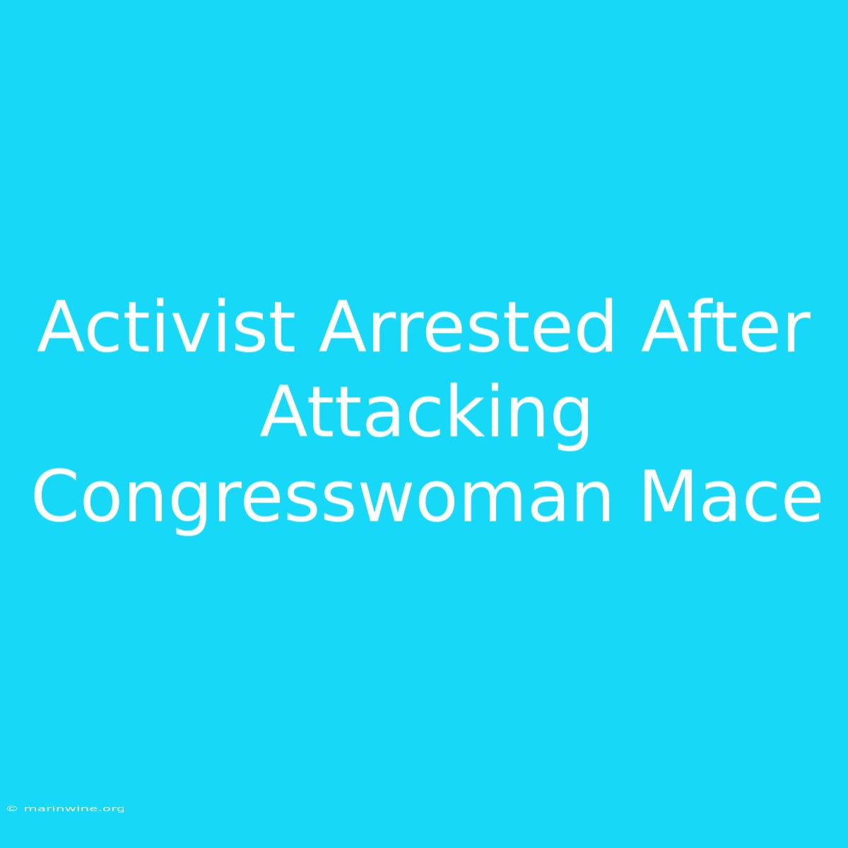 Activist Arrested After Attacking Congresswoman Mace