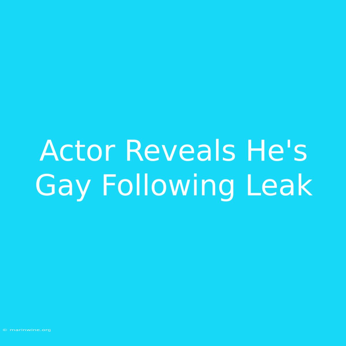 Actor Reveals He's Gay Following Leak