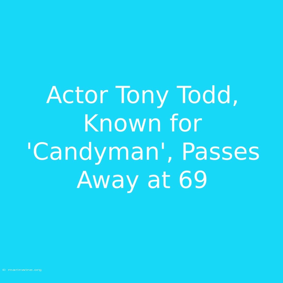 Actor Tony Todd, Known For 'Candyman', Passes Away At 69