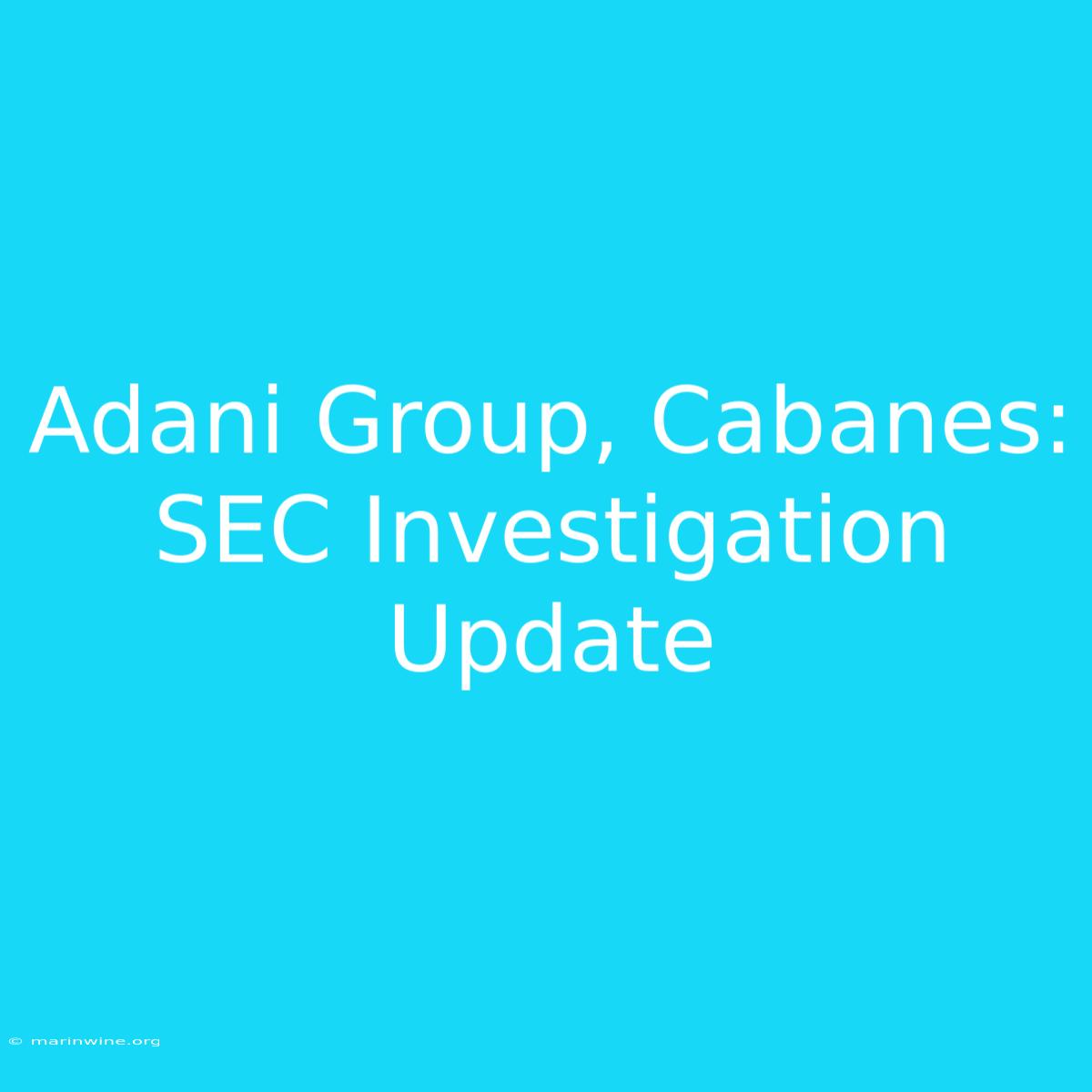 Adani Group, Cabanes: SEC Investigation Update