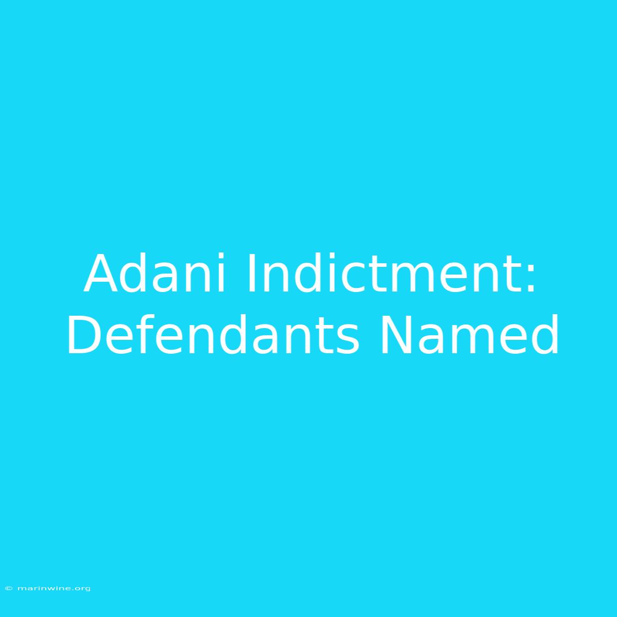 Adani Indictment: Defendants Named