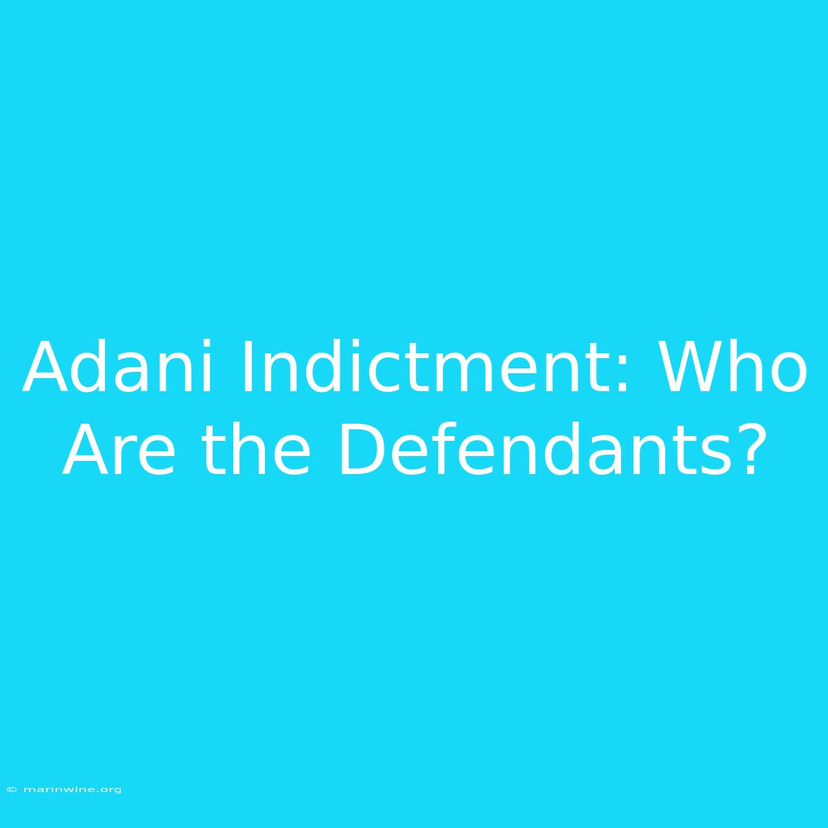 Adani Indictment: Who Are The Defendants?