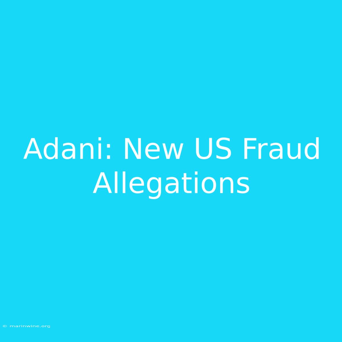 Adani: New US Fraud Allegations