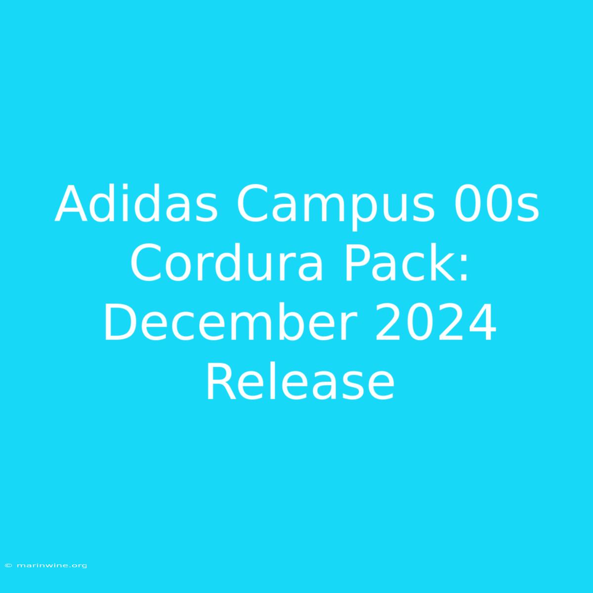 Adidas Campus 00s Cordura Pack: December 2024 Release