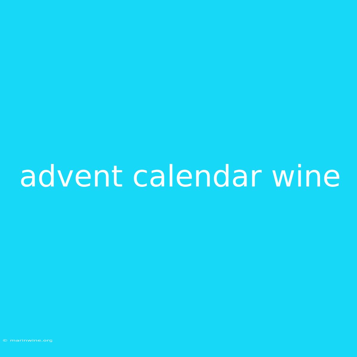 Advent Calendar Wine