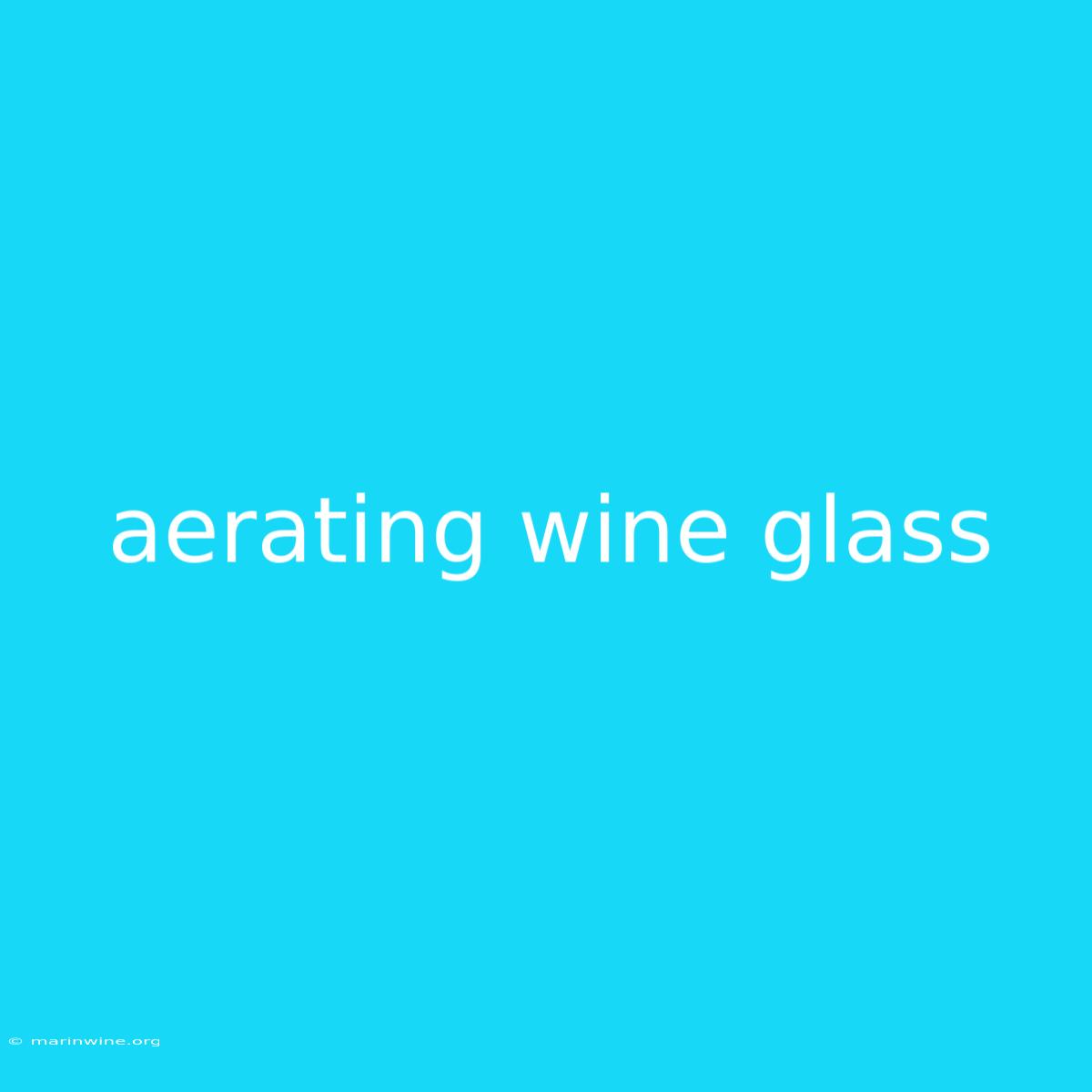 Aerating Wine Glass