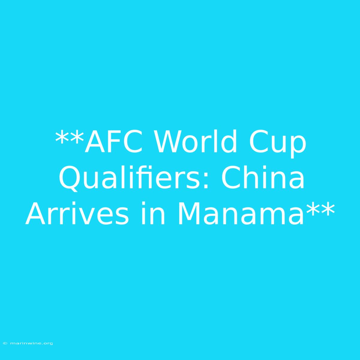 **AFC World Cup Qualifiers: China Arrives In Manama** 