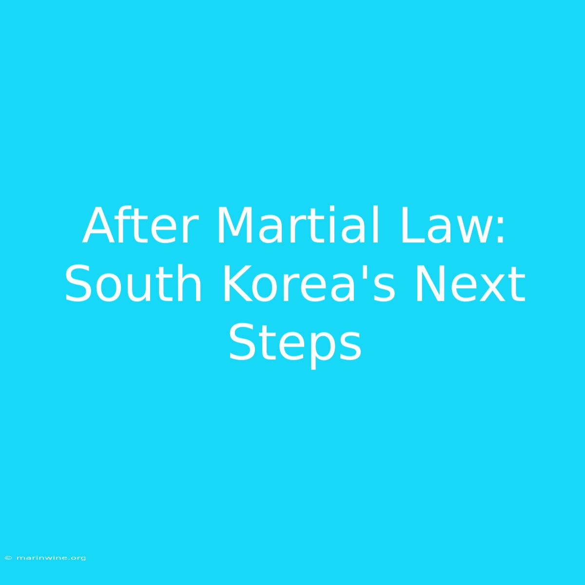 After Martial Law: South Korea's Next Steps