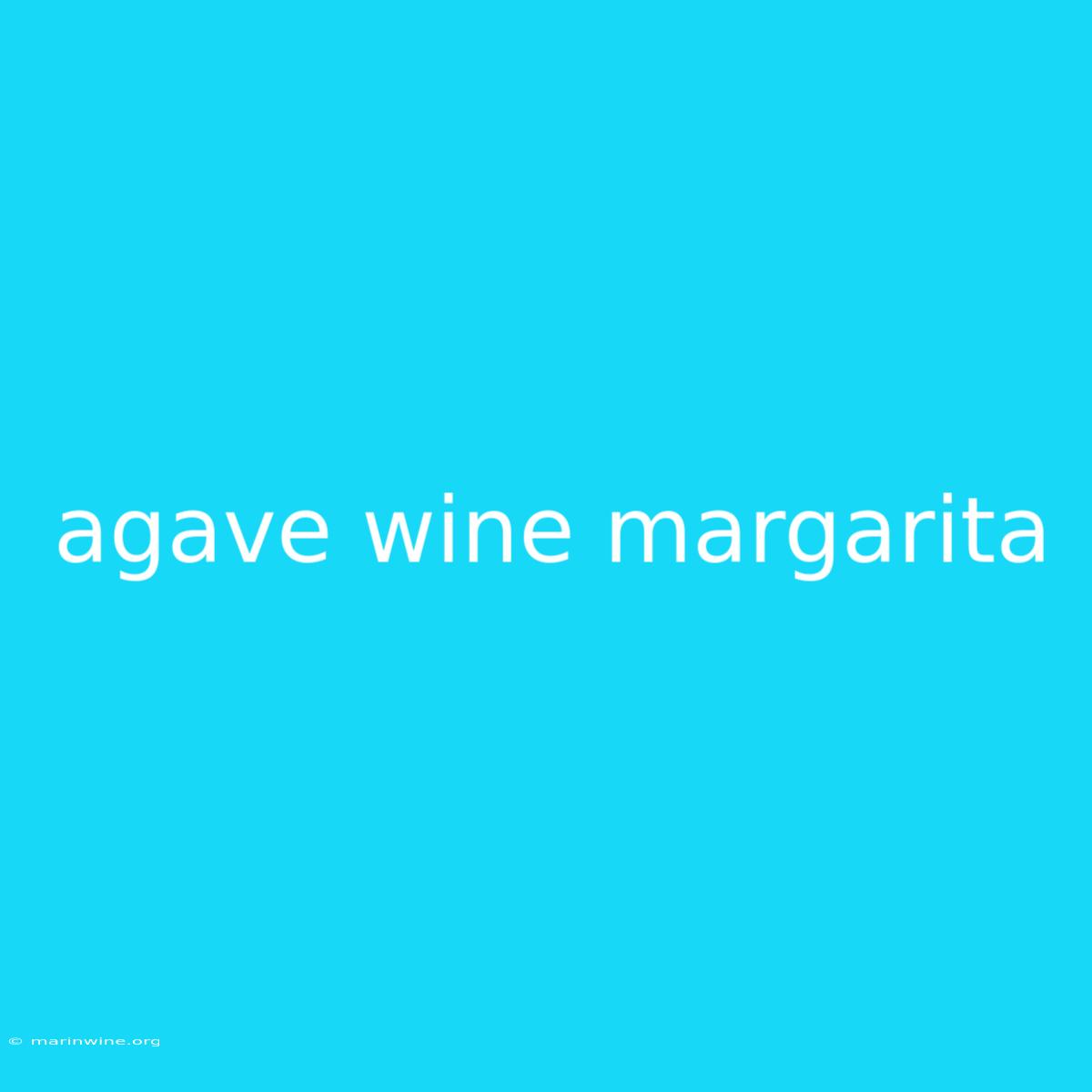 Agave Wine Margarita