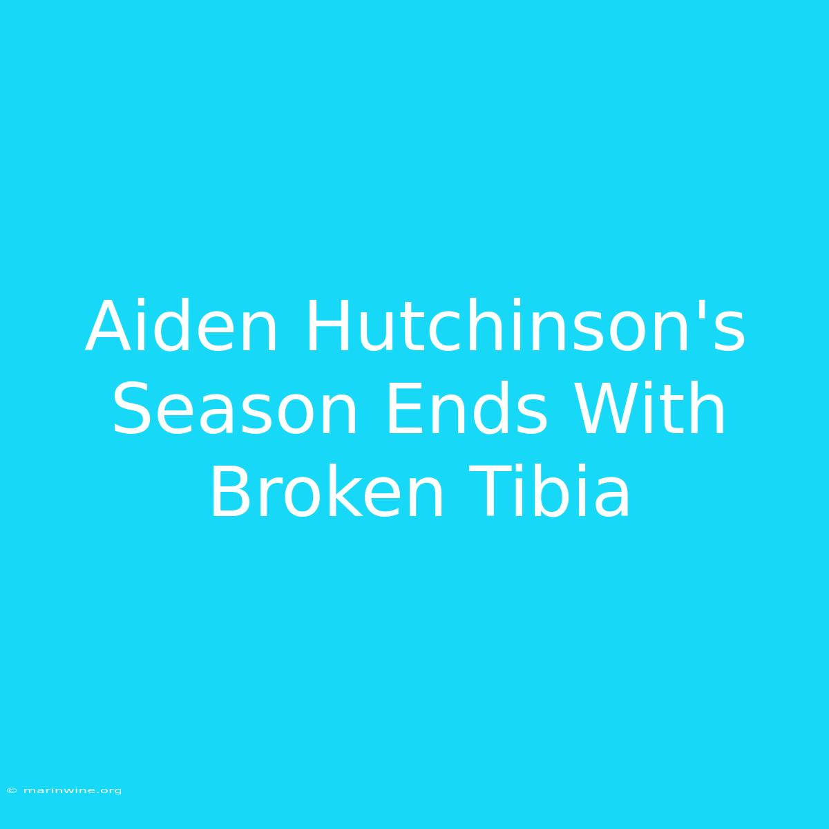 Aiden Hutchinson's Season Ends With Broken Tibia 