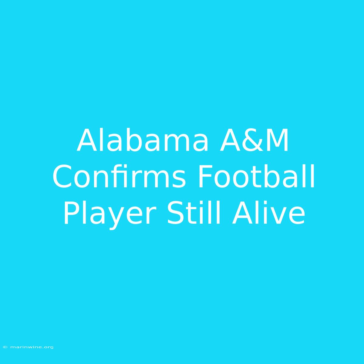 Alabama A&M Confirms Football Player Still Alive