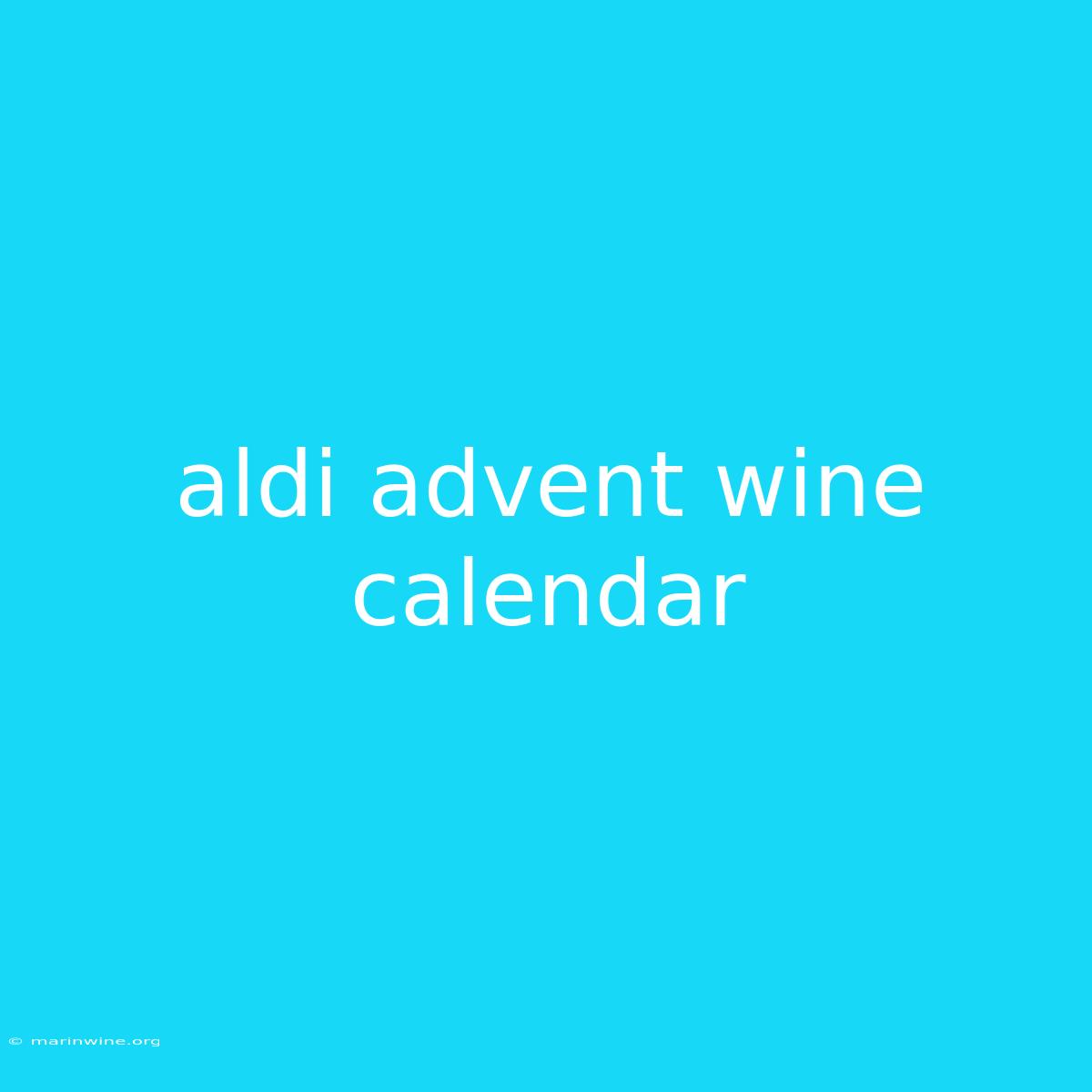 Aldi Advent Wine Calendar