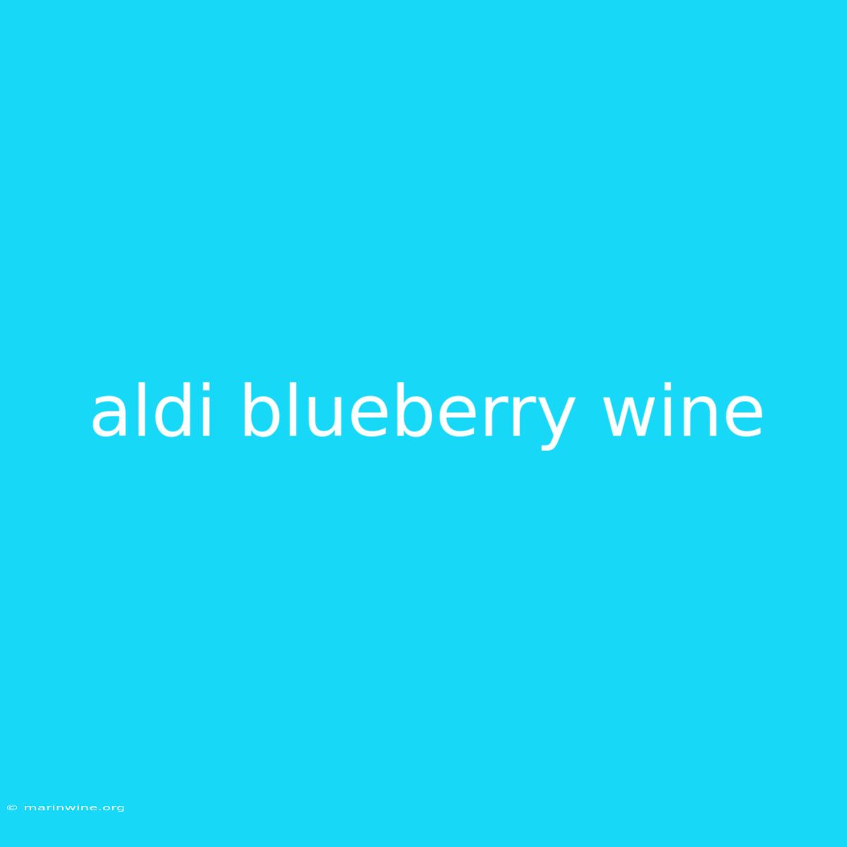 Aldi Blueberry Wine