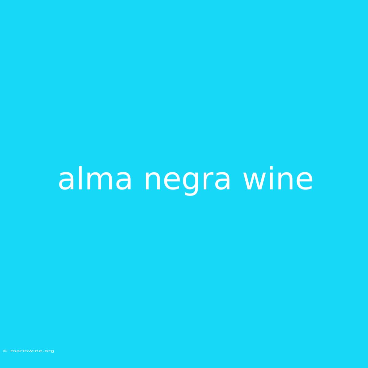 Alma Negra Wine