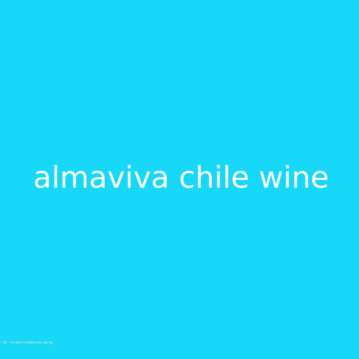 Almaviva Chile Wine