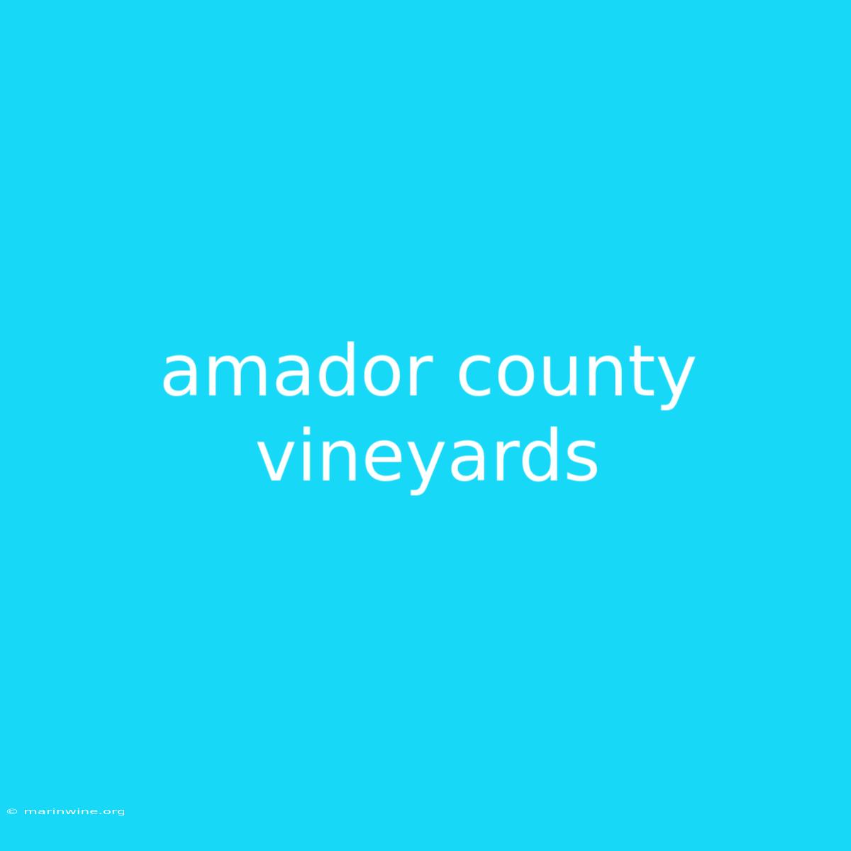 Amador County Vineyards