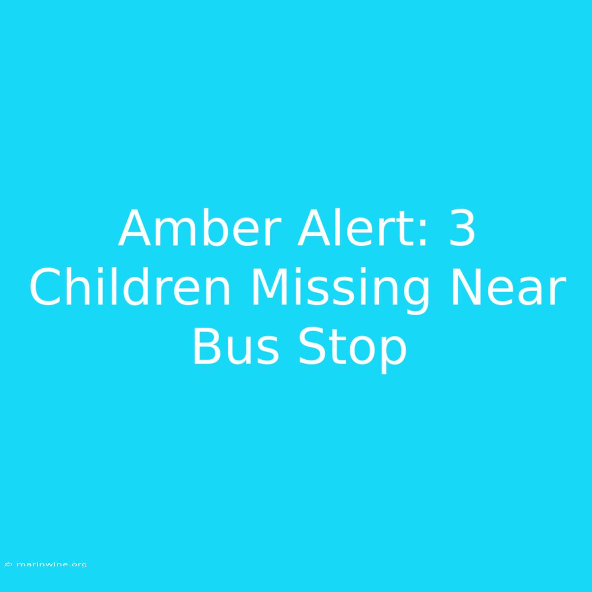 Amber Alert: 3 Children Missing Near Bus Stop