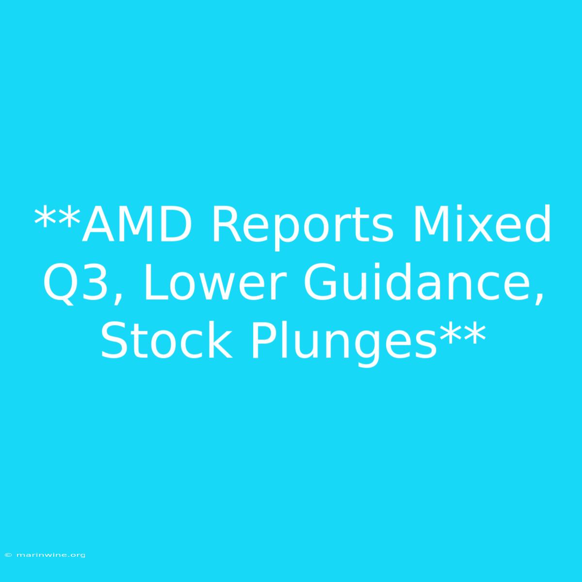 **AMD Reports Mixed Q3, Lower Guidance, Stock Plunges**