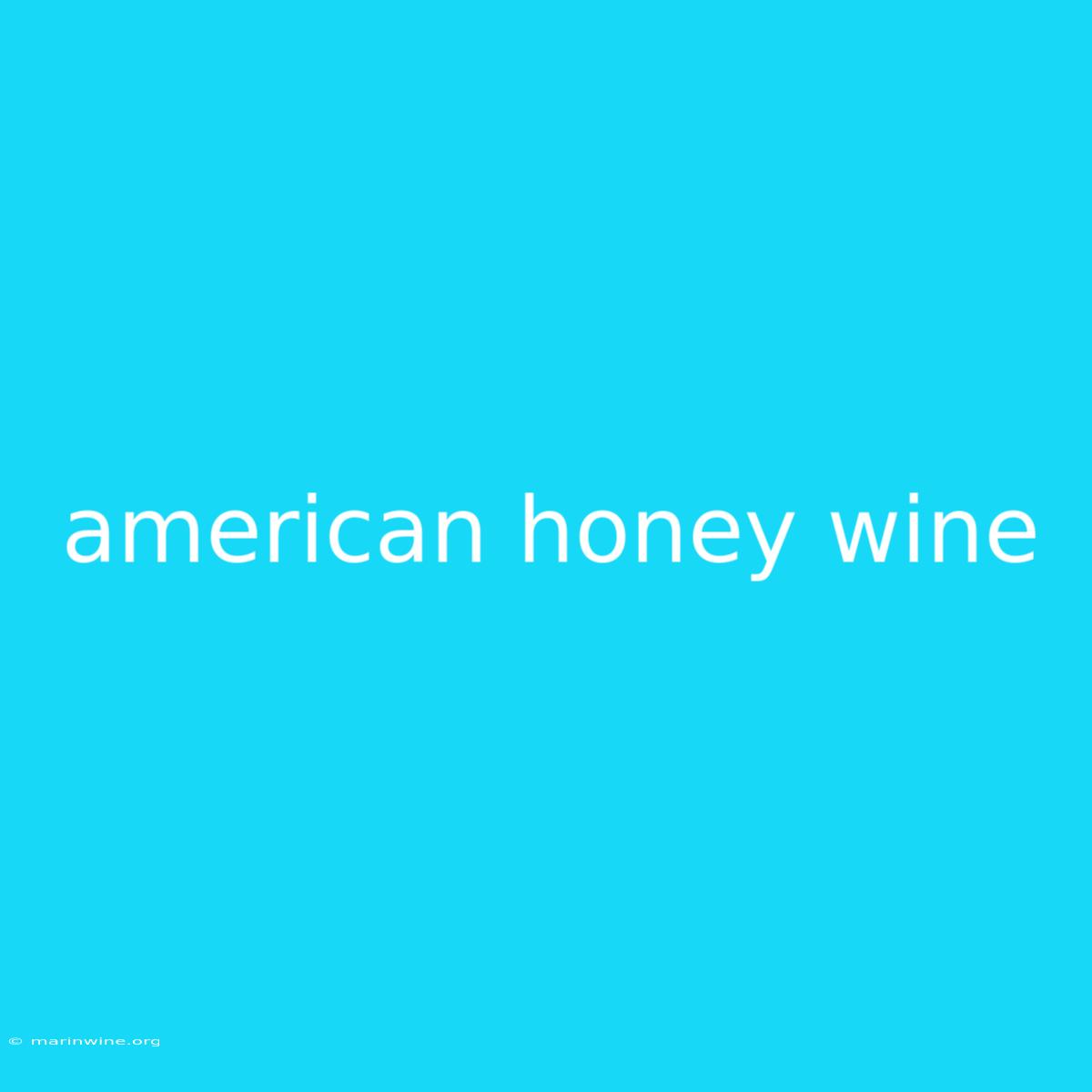 American Honey Wine