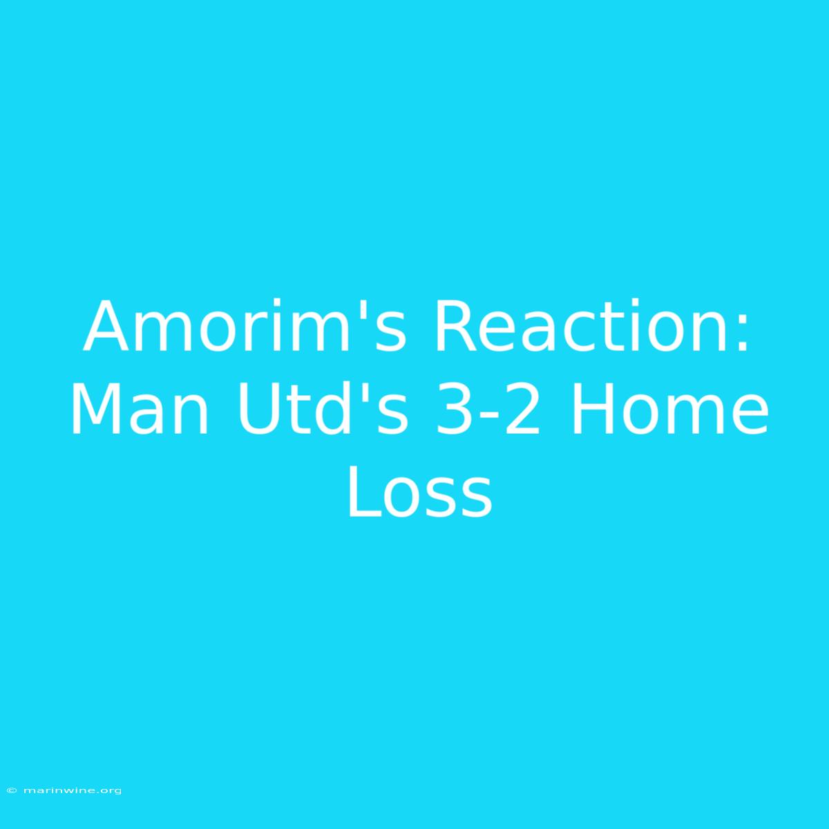 Amorim's Reaction: Man Utd's 3-2 Home Loss