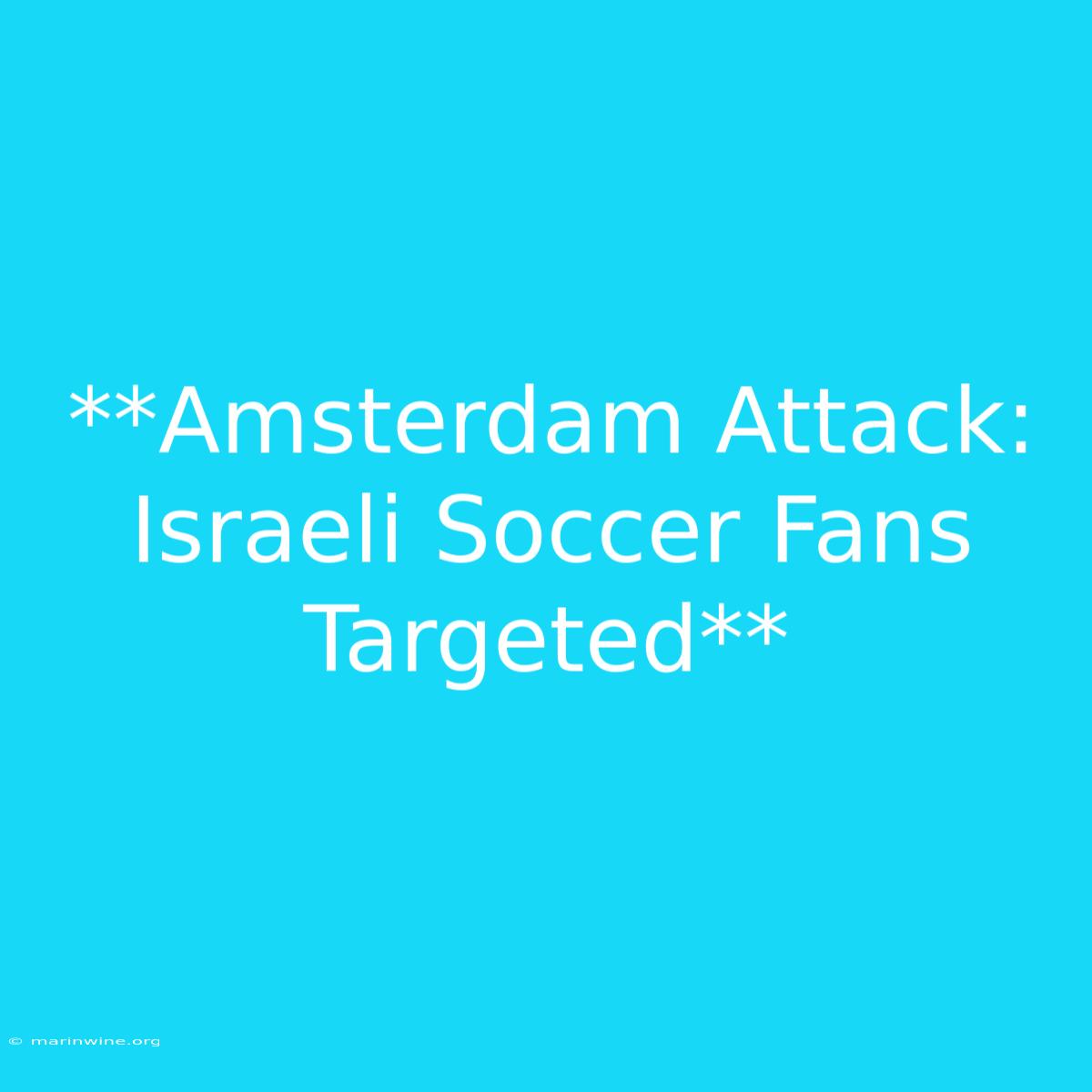 **Amsterdam Attack: Israeli Soccer Fans Targeted**