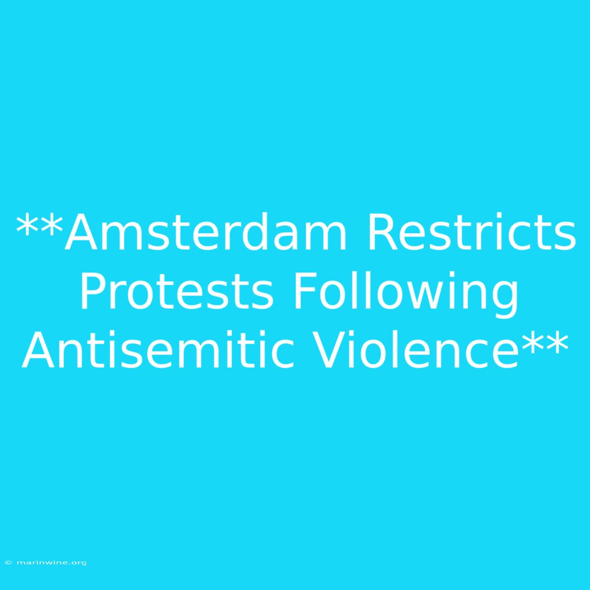 **Amsterdam Restricts Protests Following Antisemitic Violence** 