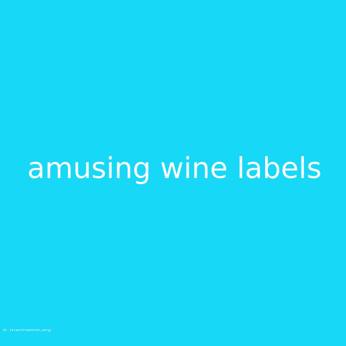 Amusing Wine Labels