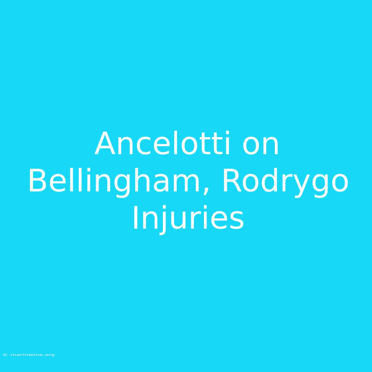 Ancelotti On Bellingham, Rodrygo Injuries